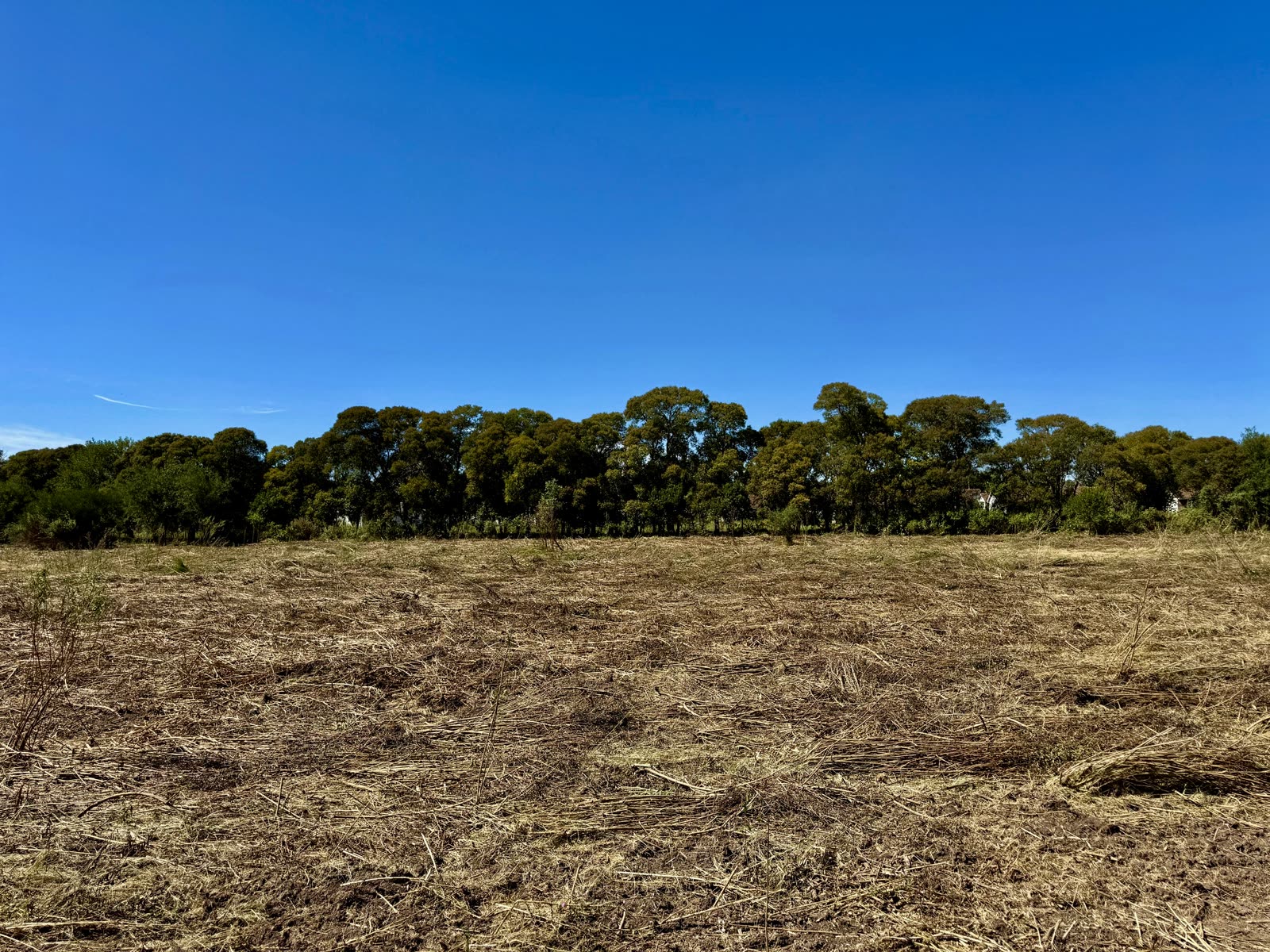 Vista del terreno