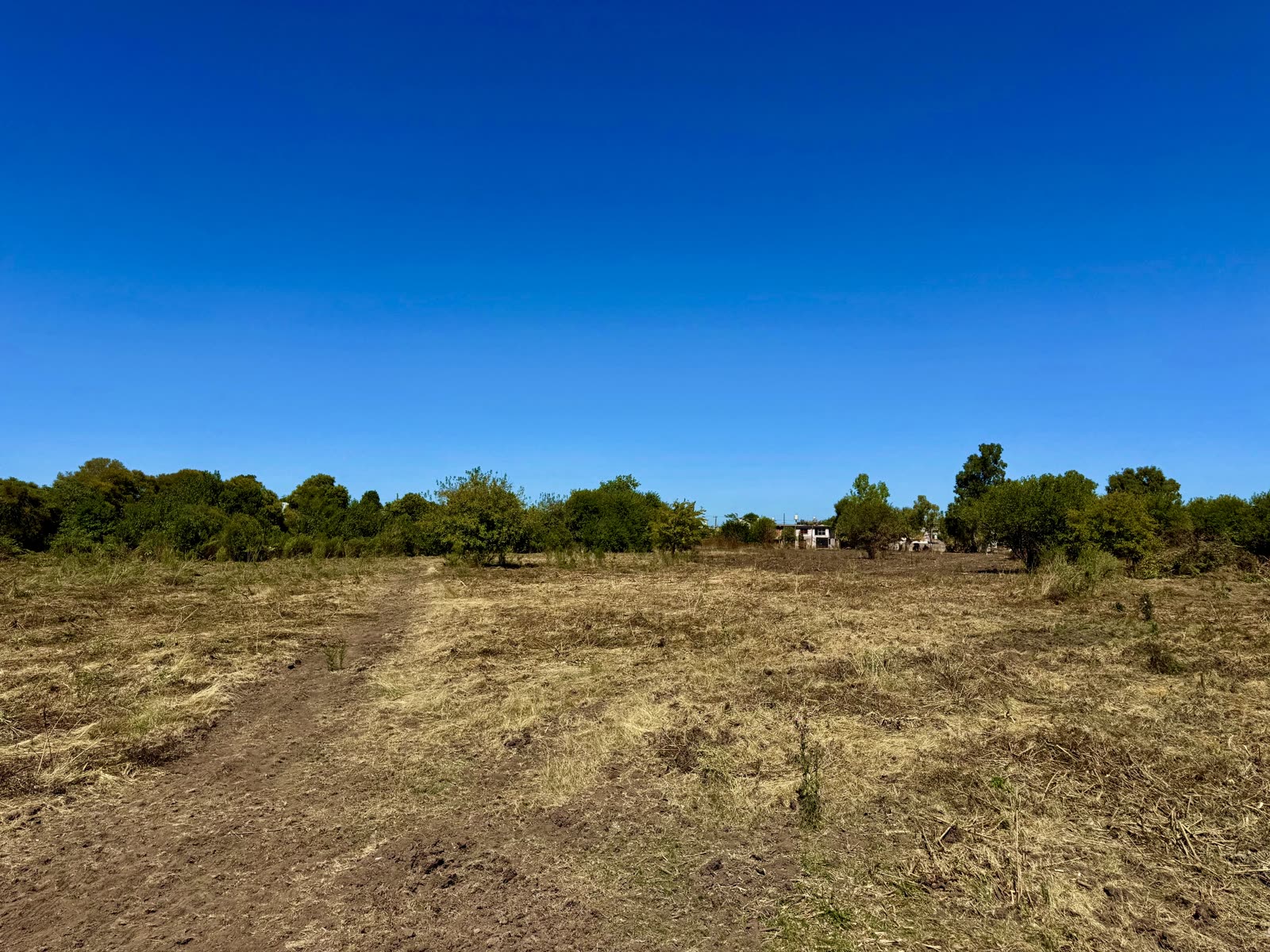 Terreno limpio